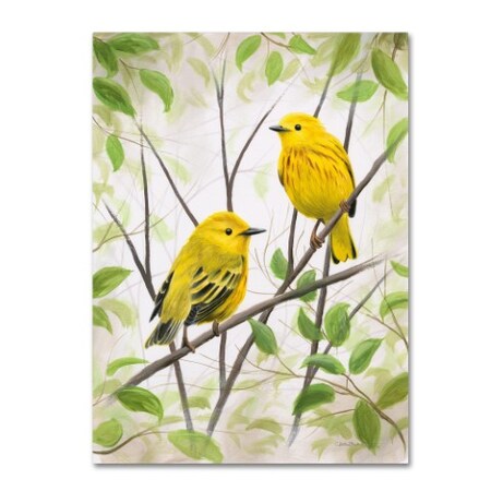Chuck Black 'Springtime Warblers' Canvas Art,18x24